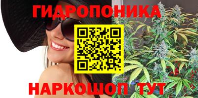 2c-b Кимры