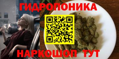 хмурый Кинель