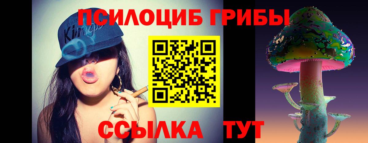 Тайшет  Псилоцибиновые грибы мухоморы  Вход с VPN 