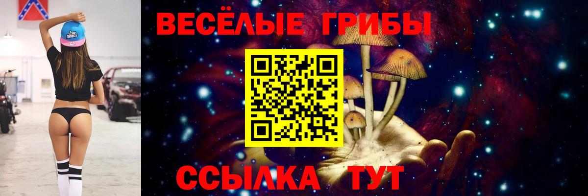 Галлюциногенные грибы мицелий Тайшет